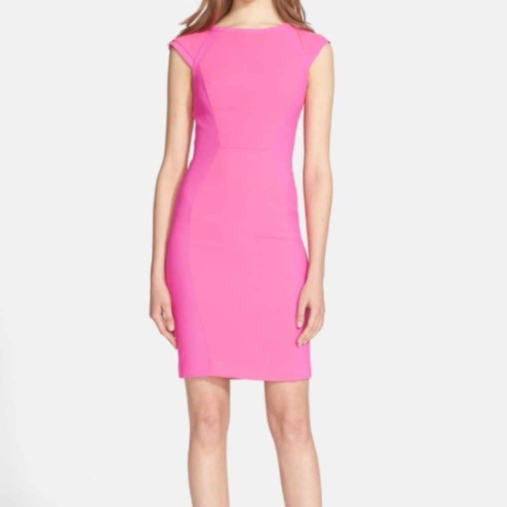 Ted Baker - Jineen panel dress - size 4